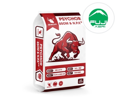 Phân Hữu Cơ Psychor - Khơi nguồn sinh lực, bứt phá năng suất